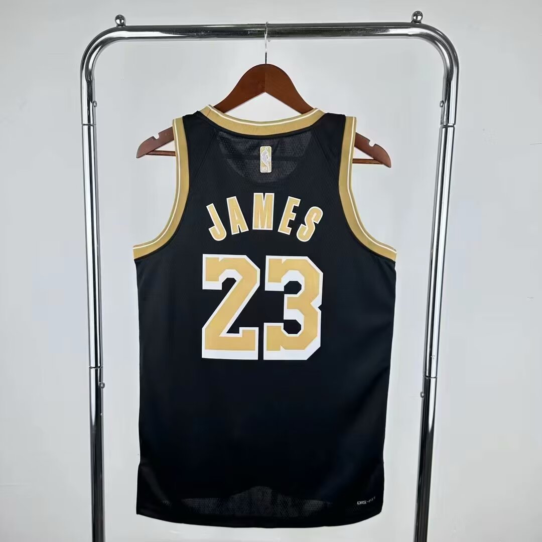 Men Los Angeles Lakers #23 LeBron James Nike black 2024 NBA Jersey->detroit lions->NFL Jersey